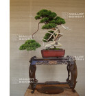 Portes ouvertes d'automne 2025