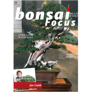 BONSAI FOCUS N° 98