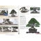 BONSAI FOCUS N° 92