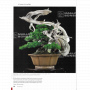 BONSAI FOCUS N° 118