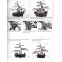 BONSAI FOCUS N° 119