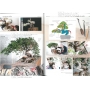 BONSAI FOCUS N° 89