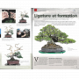 BONSAI FOCUS N° 122