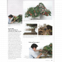 BONSAI FOCUS N° 123