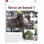 BONSAI FOCUS N° 124