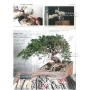 BONSAI FOCUS N° 89