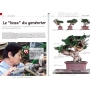 BONSAI FOCUS N° 85