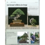 BONSAI FOCUS N° 89