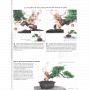 BONSAI FOCUS N° 125