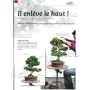 BONSAI FOCUS N° 86